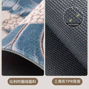 感家用脚垫轻奢 入户门地垫门垫进门玄关地毯大门口新款