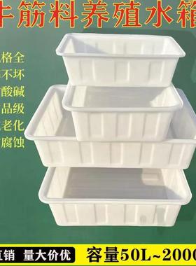 储大号YQR加厚牛筋料塑水箱长方形水桶水产养殖方桶养鱼卖筋鱼牛