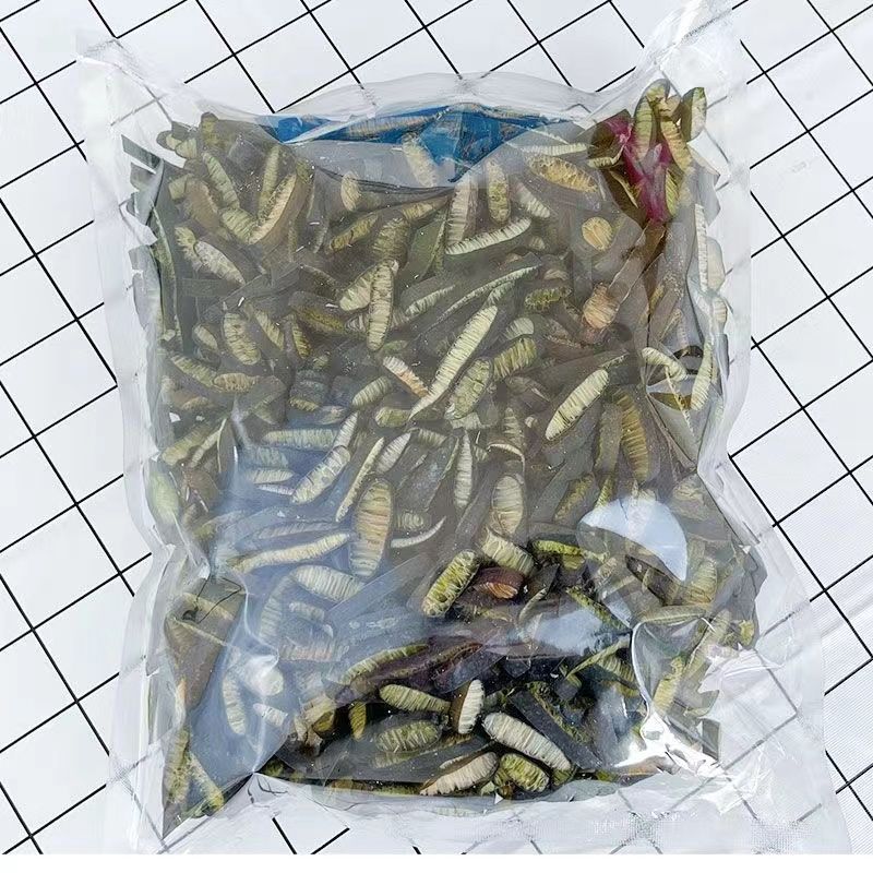 南极海笋片裙带菜海茸丝