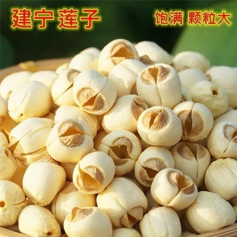 建宁莲子新货福建三明农