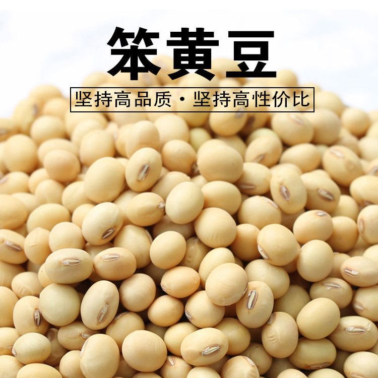 农家自种1斤5斤黄豆老品