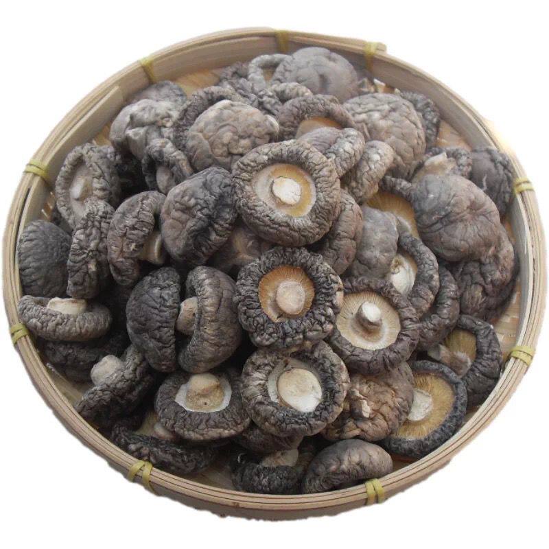 珍珠菇干货迷你小小香菇