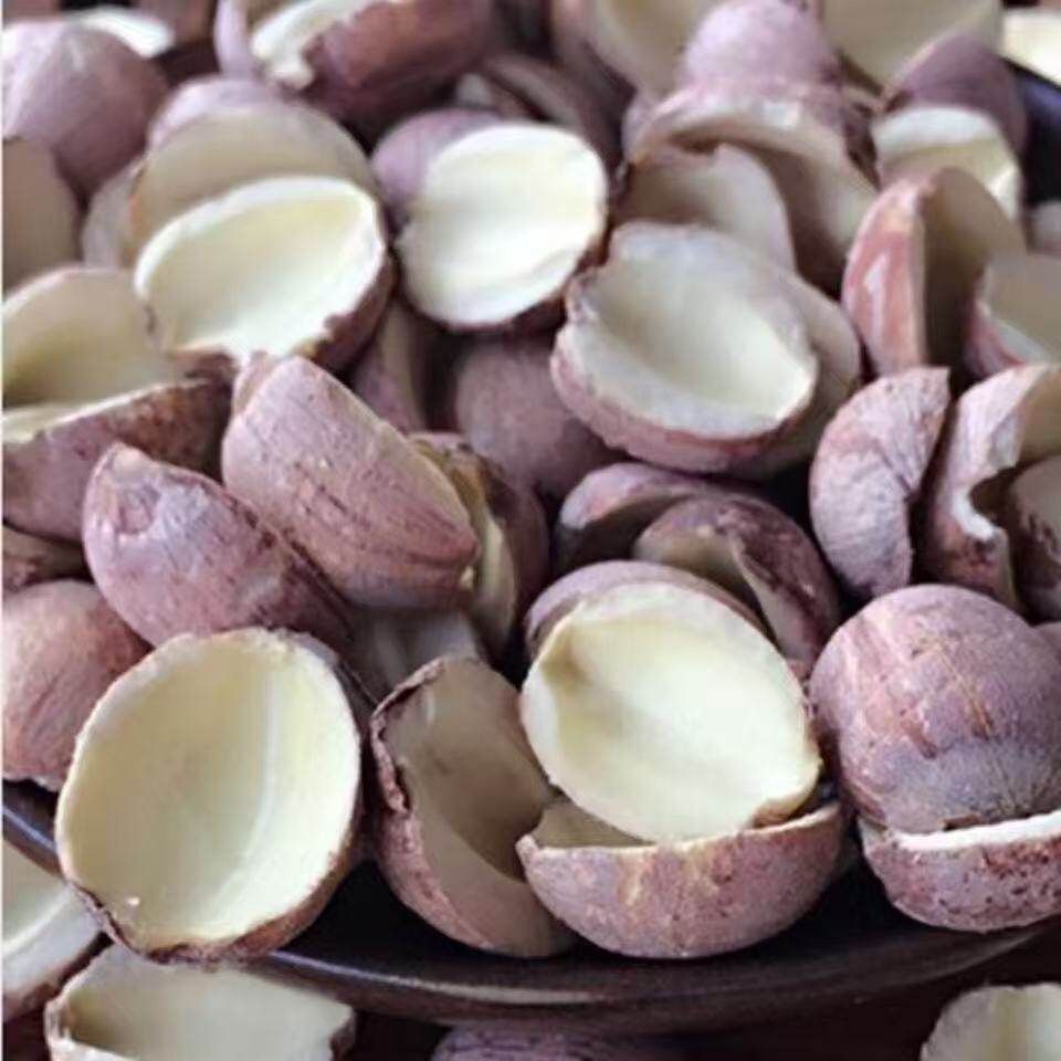 半边红莲子红皮粉糯带易