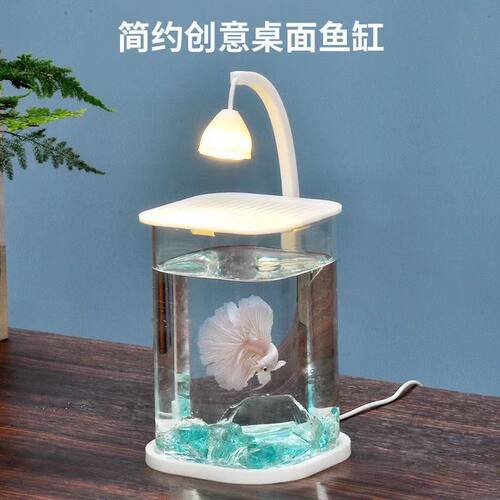 斗鱼鱼缸客厅桌面观赏网红创意造景摆件生态养鱼缸装饰玻璃饲养缸