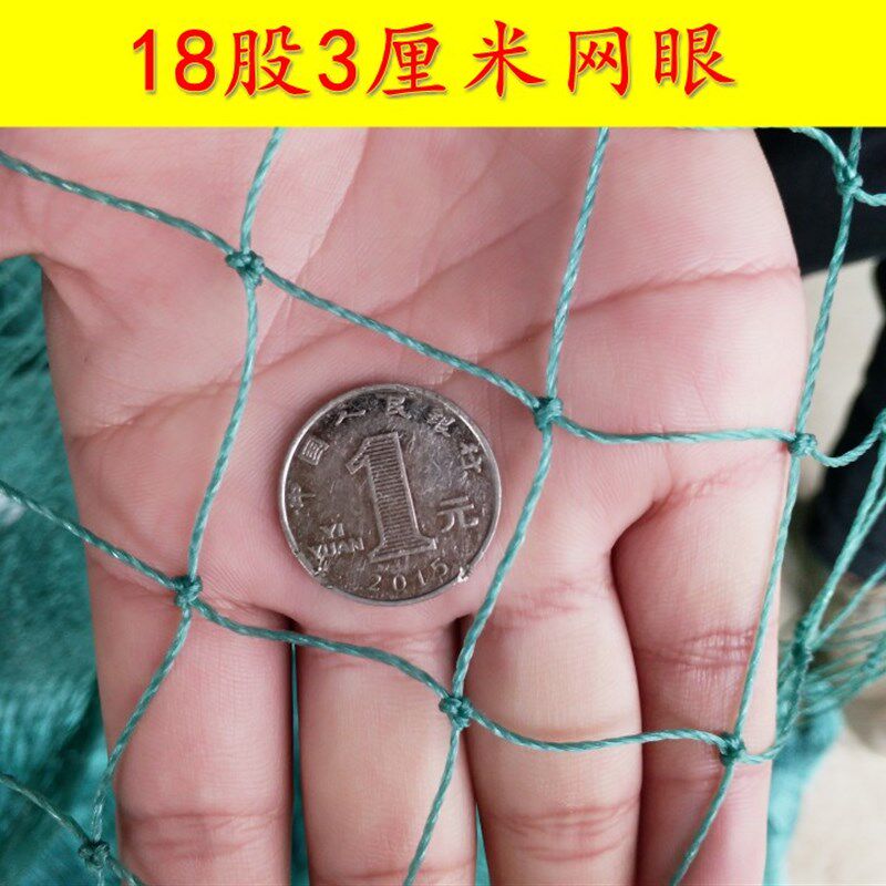 热销家禽养殖网养鸡网山鸡网围网尼龙网养殖天网野鸡网围栏防护网