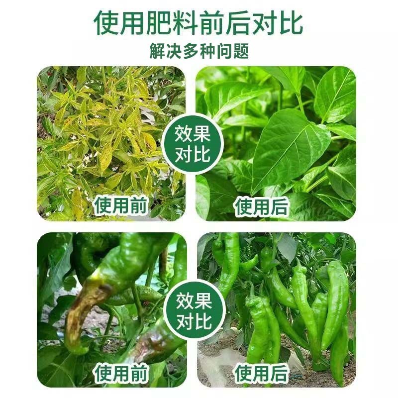 热销辣椒复合肥蔬菜农用种菜海椒青椒秦蕃椒植物家用有机化肥肥料