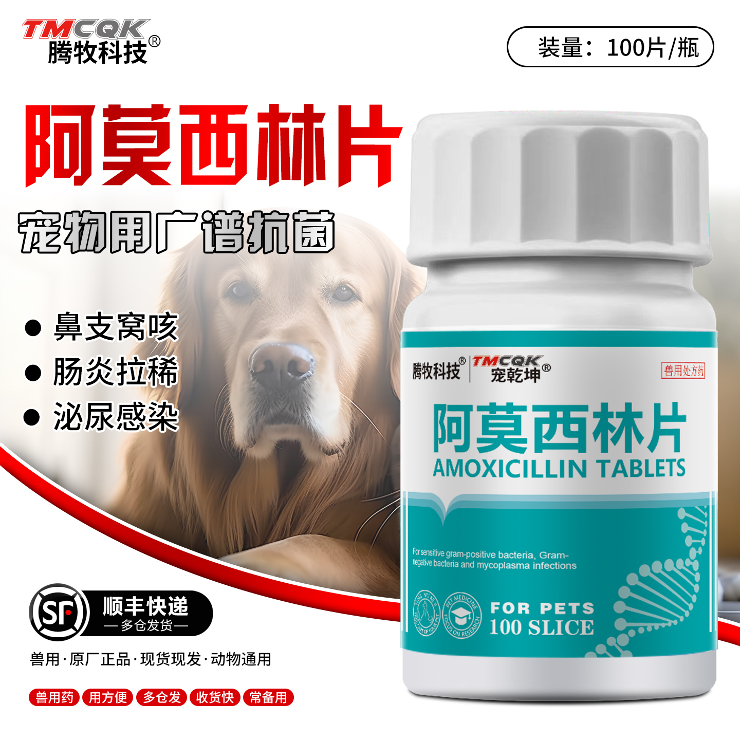 宠物犬猫消炎药阿莫西林片