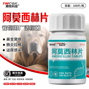 宠物专用阿莫西林猫狗用猫鼻支用药狗狗猫咪感冒药伤口感染消炎药