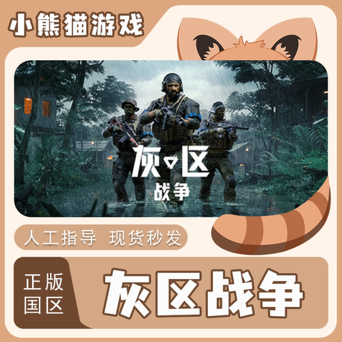 steam灰区战争国区入库正版PC端
