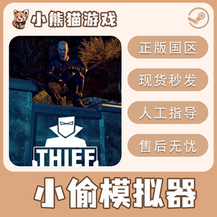Steam正版 小偷模拟器 Thief Simulator 国区CDK 现货入库 激活码