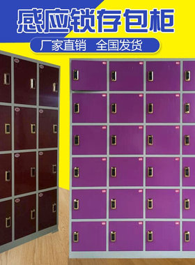 感应锁桑拿d寄存柜洗浴更衣柜员工储物柜超市电子存包柜12门24门3