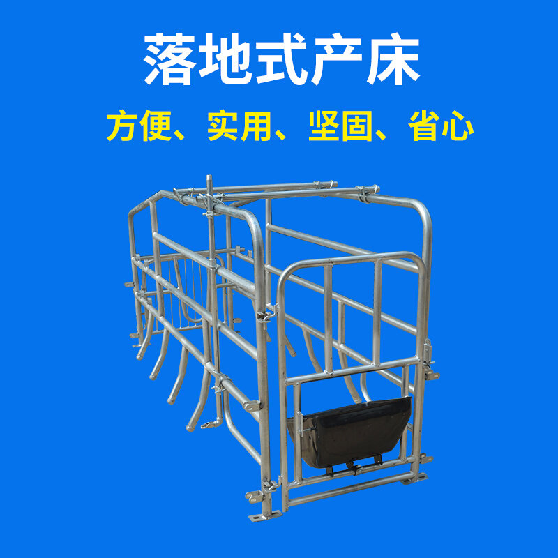 落地母猪产床保育床仔猪产床母猪分娩床定限位栏母猪厂床养殖设备