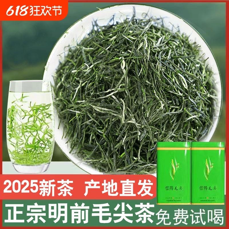 毛尖绿茶信阳毛尖茶叶2025年新茶嫩芽一芽一叶浓香型散装500g炒青