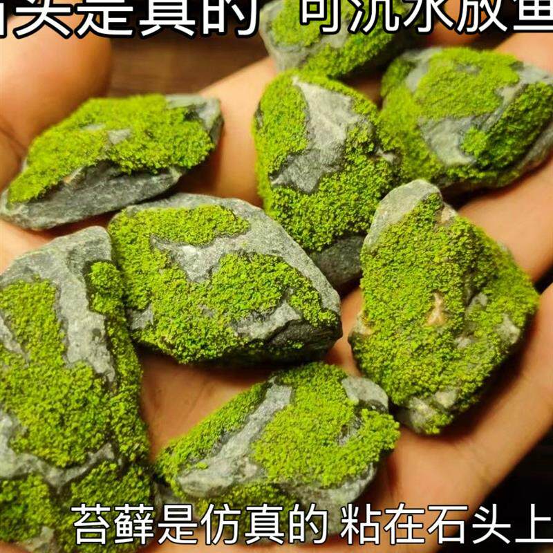 爬宠攀爬造景彷真苔藓石头原生绿藻石微景观假山盆景鱼缸装饰摆件