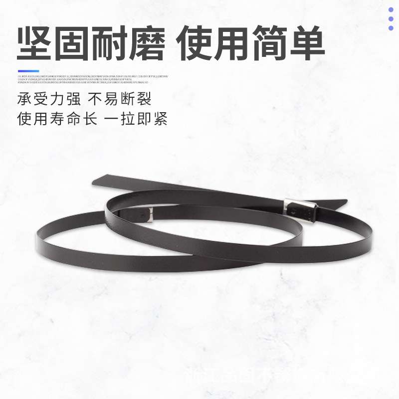 304喷塑不锈钢扎带厂家 自锁式耐高温4.6*300mm黑色金属定型