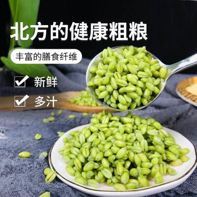 新鲜青麦仁米小粒绿穗河