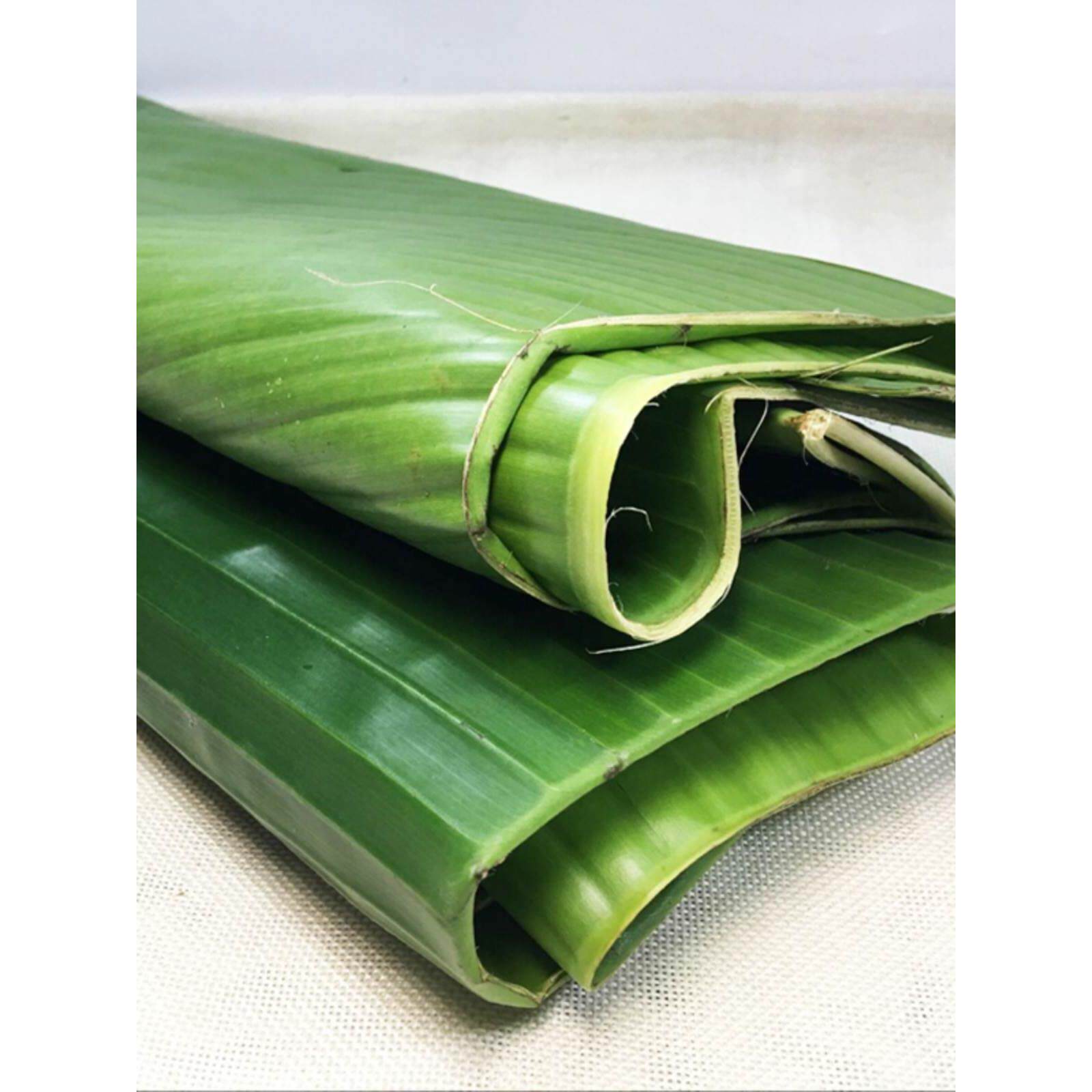 芭蕉叶农家新鲜香蕉叶做糍粑粽子