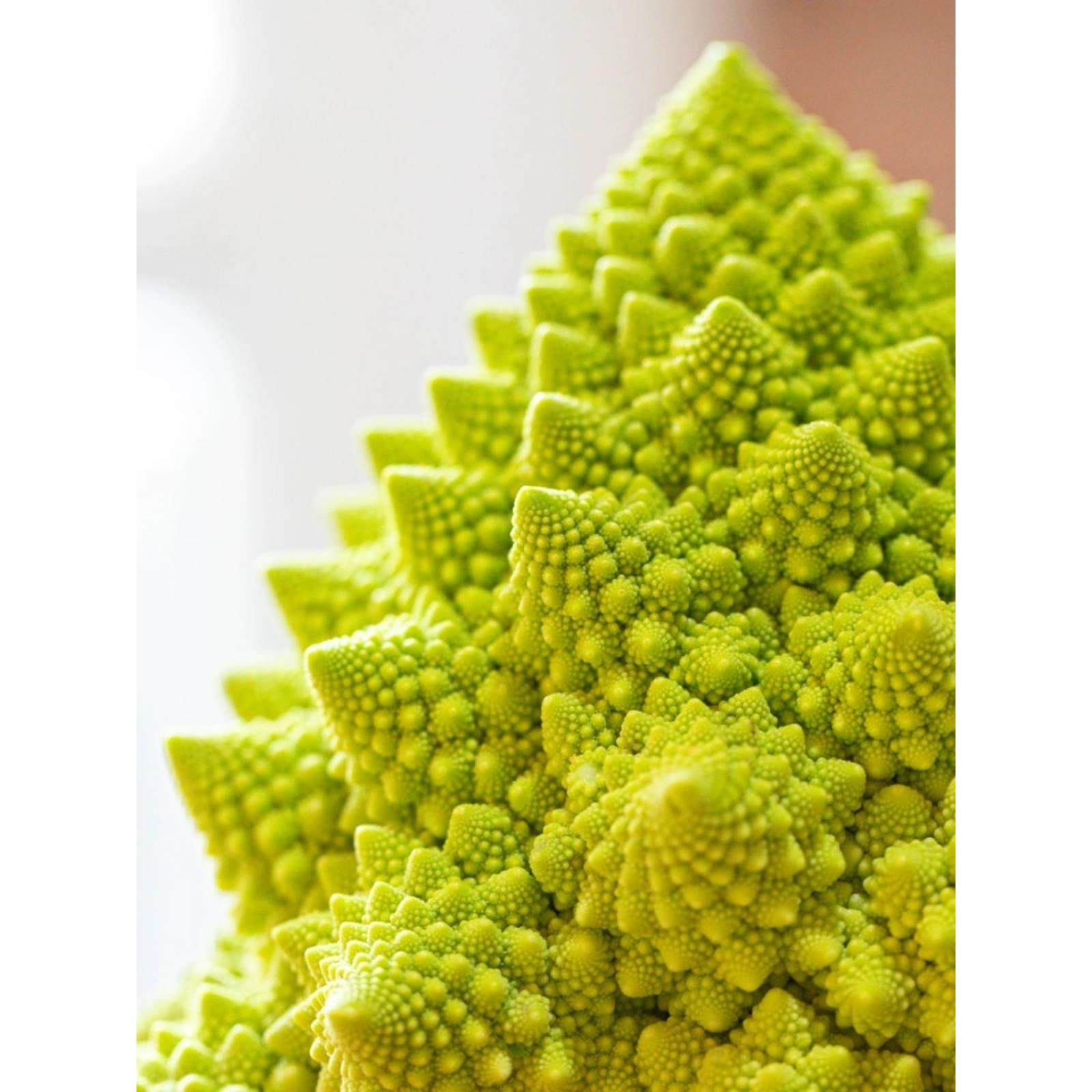 宝塔花菜新鲜蔬菜罗马花椰菜西餐酒楼饭店特色食材带叶子顺丰包邮