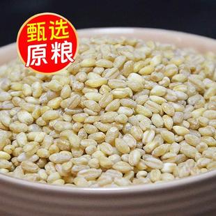 河南小麦仁去皮优新麦仁米脱壳带胚芽煮粥饭用麦仁酵子自产新鲜