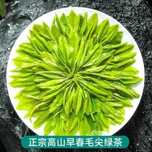 毛尖茶叶绿茶2024新茶叶明前官方正品旗舰店250g非特级信阳都匀茶