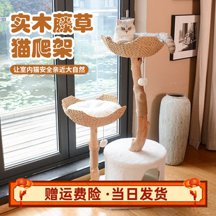 高颜值猫爬架g实木大型猫咪一体式猫窝剑麻猫抓柱果木猫树猫咪玩