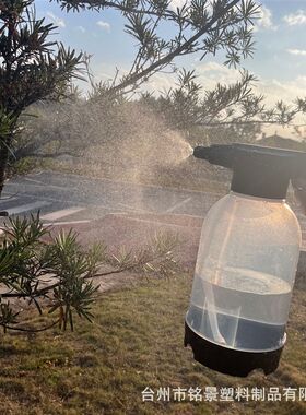 电动喷壶小型喷h水喷雾器自动洒水壶家用酒精消毒壶浇花养花喷雾