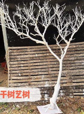 白色干树枝造景干枝树干许愿树枯树室内造型O树枝干原木树枝装饰