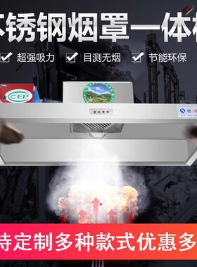 抽油烟机商用不锈钢排烟s罩大吸风力率小型饭店厨房油烟净化一体