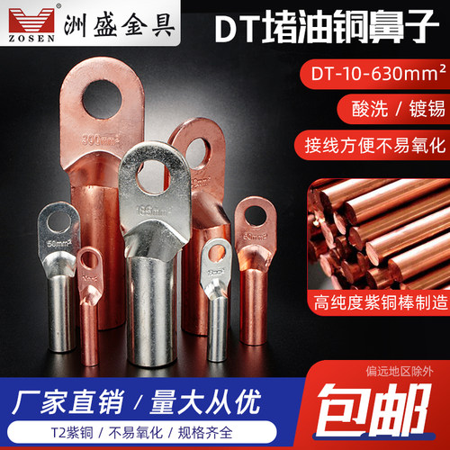 DT铜鼻子10/1k6/25/35/50铜接线鼻子接线端子铜端子线耳铜接头镀
