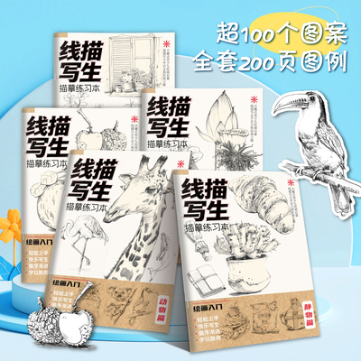 线描写生描摹练习本入门临摹画册