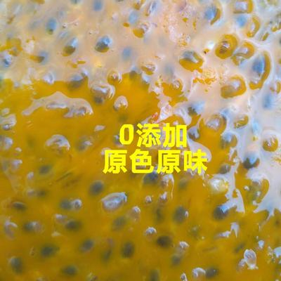 广西百香果原浆奶茶店专用冷冻百香果汁果酱浓缩现挖果肉商用包邮