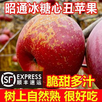 精品礼盒装云南昭通冰糖心丑苹果大果新鲜水果10斤当季整箱包邮