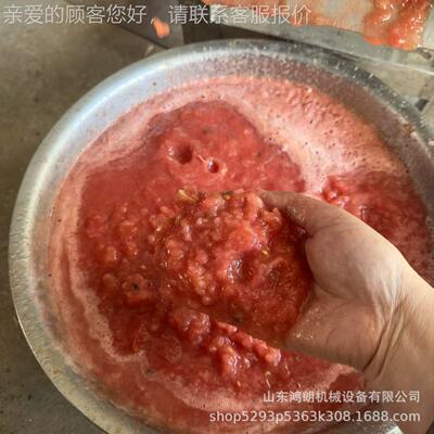 厂家现货大型工业榨汁螺机 HVD挤旋菠压萝桑葚榨汁机 压榨出汁机