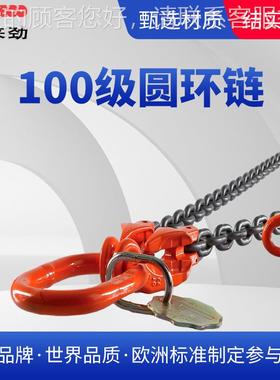 德TMQ国力10吊0级强度 强环羊角钩 调节器 单腿四腿链高条索具