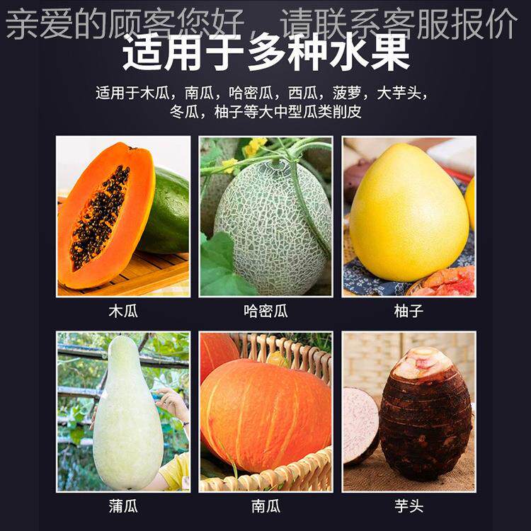 瓜果削皮机多功去EKE皮机哈密能瓜南冬瓜芋头自瓜动刨皮机设化备