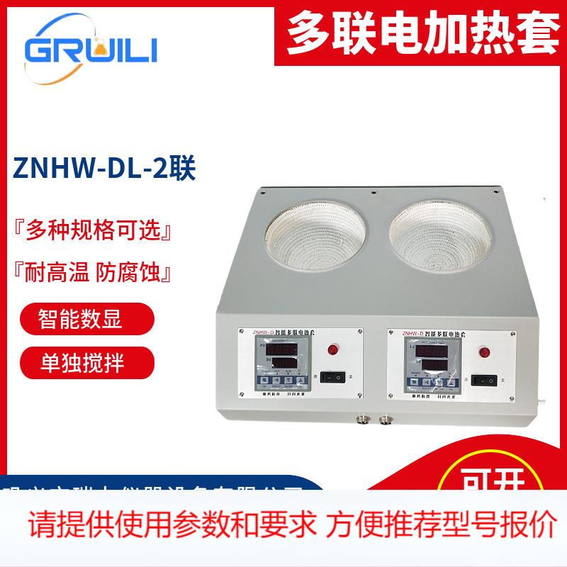 瑞力厂家 智能数显多联电热套ZNHW-DL-2联50ml-1000ml 恒温加热套