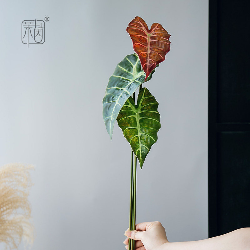 热带观叶仿真植物孔雀叶图片