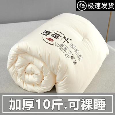 被子冬被2025新款加厚保暖棉被被芯大豆纤维空调被春秋被四季通用