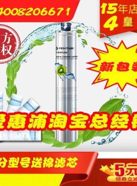 美国滨特尔爱惠浦净水器EF-900P滤芯家用厨房净水机滤芯 ef-900p