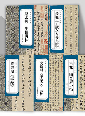 古代名家小楷系列王宠临晋唐小