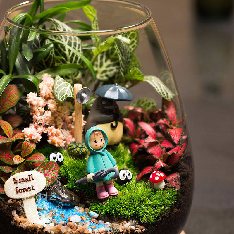 苔藓生态瓶微景观成品迷你植物diy材料包好礼物
