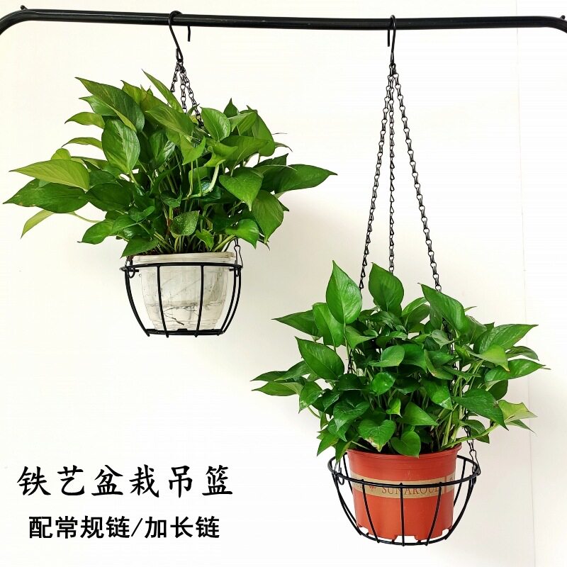 简约铁艺吊篮垂吊花盆挂架绿萝盆栽挂篮悬挂式阳台花架绿植架子小