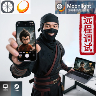 Moonlight +sunshine 月光 远程串流PC调试+咨询 一对一服务