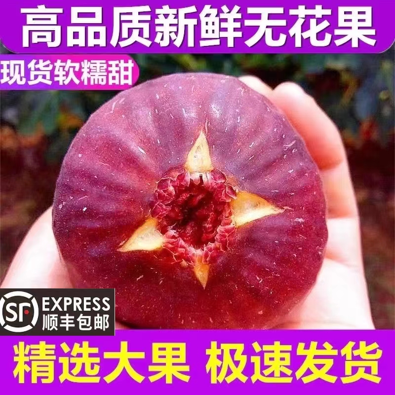 大果无花果鲜果云南新鲜