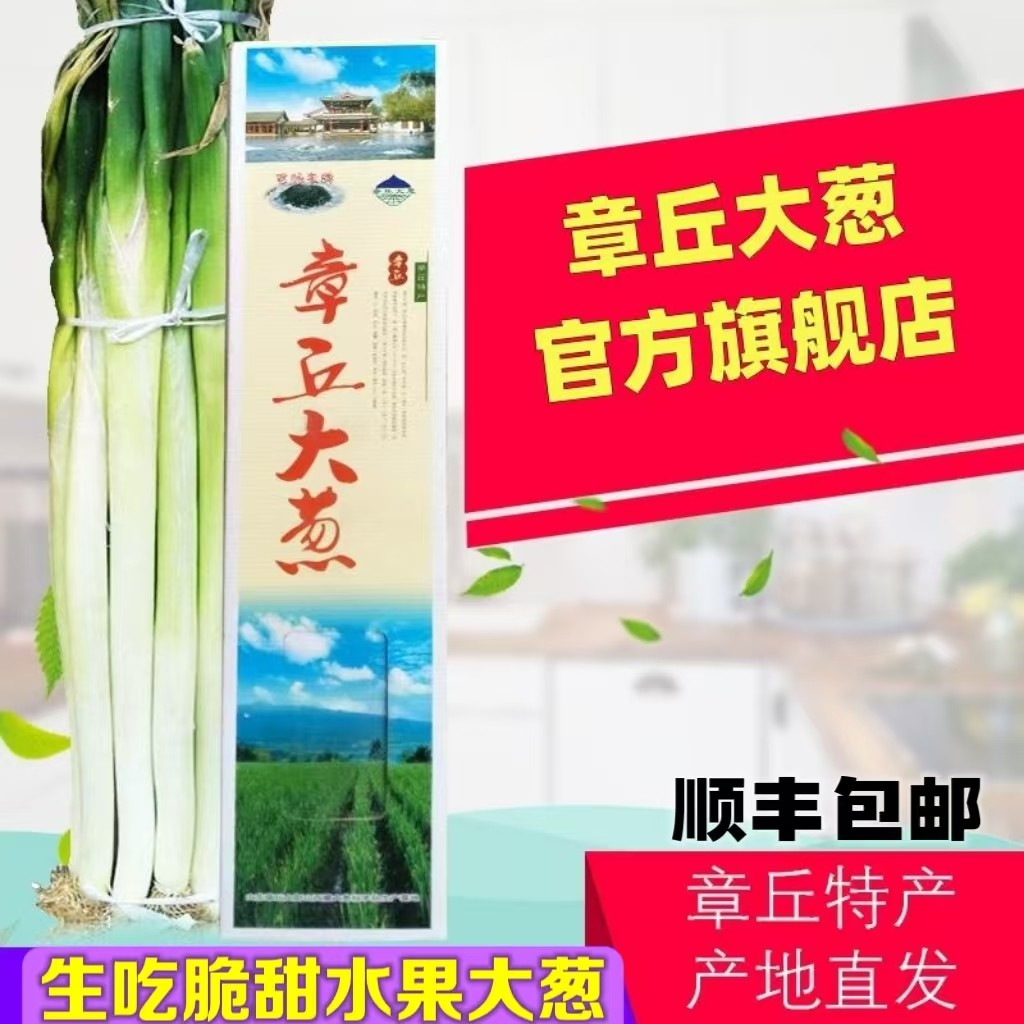 正宗山东特产百脉泉章丘大葱旗舰店9斤高白脆嫩现挖大葱产地直发9,水产肉类/新鲜蔬果/熟食,葱类,淘宝优惠券,粉丝福利购,淘宝优惠卷