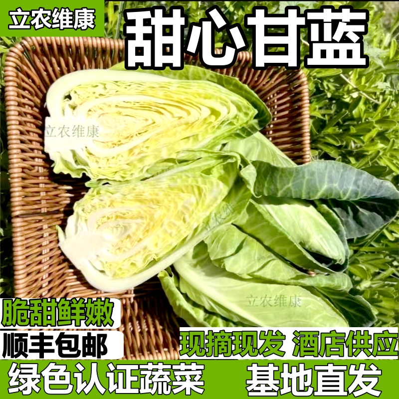 顺丰立农维康甜心甘蓝新鲜