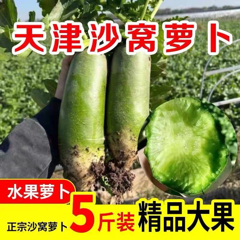 天津正宗现拔沙窝萝卜旗舰店生吃超甜水果型萝卜新鲜的青皮甜脆型,水产肉类/新鲜蔬果/熟食,萝卜/胡萝卜,淘宝优惠券,粉丝福利购,淘宝优惠卷