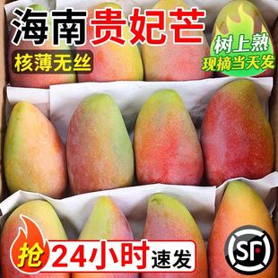 正宗海南贵妃芒果树上自然熟芒果新鲜5斤10斤水果热带整箱装顺丰