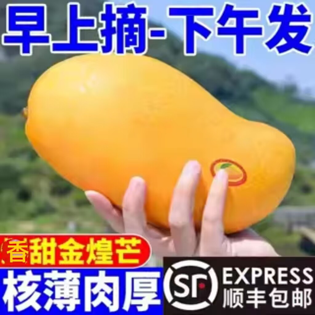 正宗海南金煌芒纸核芒果树上熟金辉金皇芒金黄芒新鲜水仙芒礼盒装