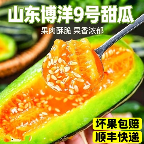 顺丰现摘现发山东头茬精品博洋9号甜瓜 新鲜时令水果香瓜脆瓜蜜瓜